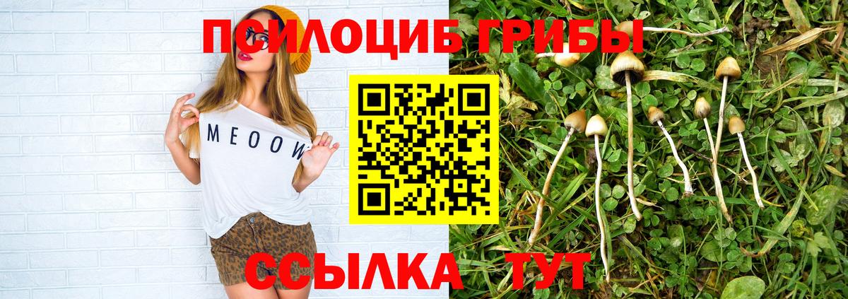 купить закладку  Вход с VPN  Шарыпово  Псилоцибиновые грибы Magic Shrooms 
