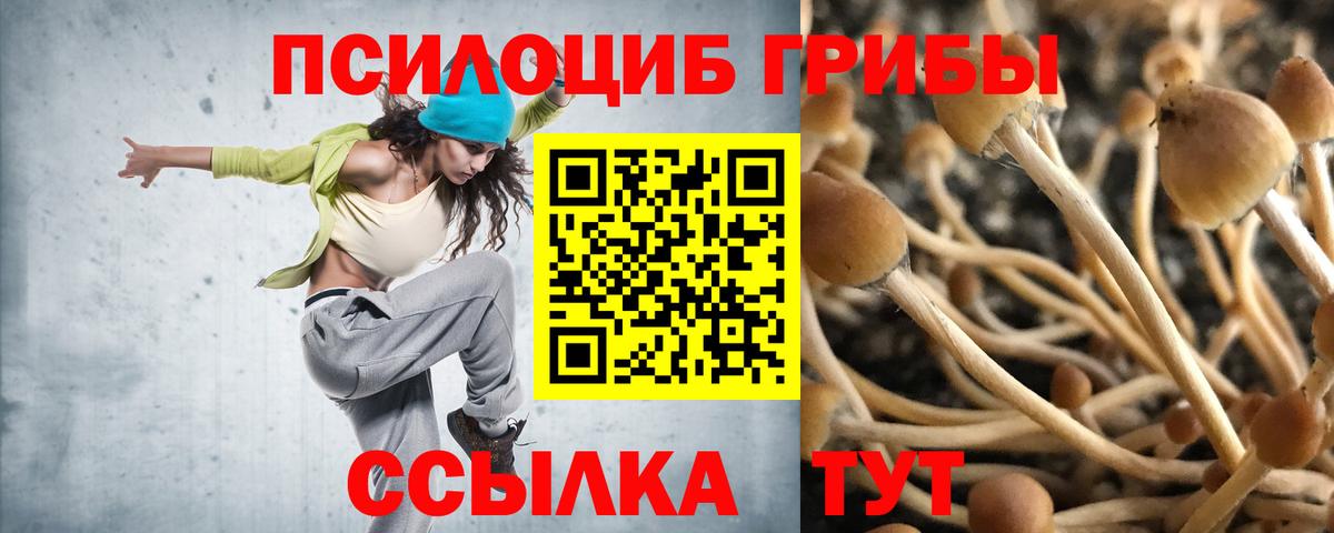 Галлюциногенные грибы Psilocybine cubensis Шарыпово